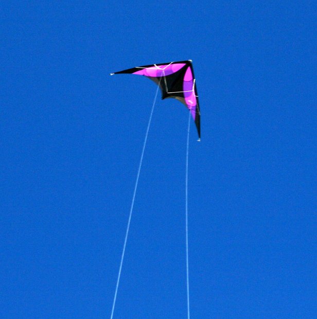 Kite